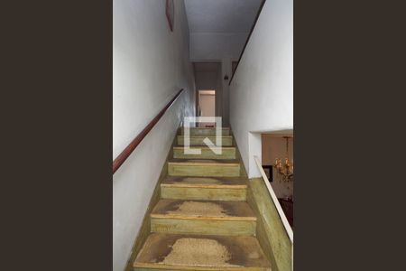 Casa à venda com 260m², 3 quartos e 5 vagasEscada - Acesso Quartos e Banheiros