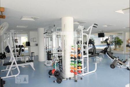 Apartamento para alugar com 268m², 4 quartos e 4 vagas Apartamento para alugar com 268m², 4 quartos e 4 vagasÁrea comum - Academia