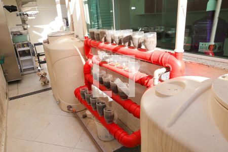 Casa à venda com 250m², 5 quartos e 2 vagas  Sistema de Captação de Água