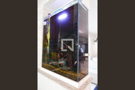 Aquário da Sala de casa à venda com 5 quartos, 250m² em Vila Floresta, Santo André