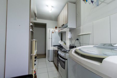 Apartamento para alugar com 55m², 2 quartos e 1 vagaCozinha - Armários