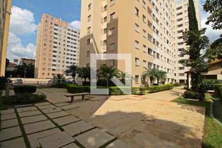 Apartamento para alugar com 65m², 2 quartos e 1 vagaÁrea Comum 