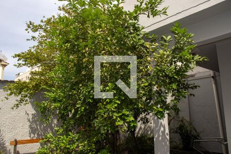 Casa à venda com 340m², 4 quartos e 3 vagasÁrea externa