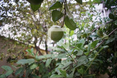 Casa à venda com 340m², 4 quartos e 3 vagasJardim