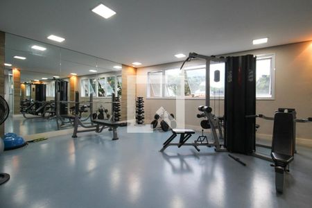 Apartamento para alugar com 112m², 3 quartos e 2 vagas Apartamento para alugar com 112m², 3 quartos e 2 vagasÁrea comum - Academia