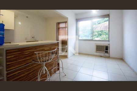 Sala de apartamento para alugar com 2 quartos, 49m² em Tijuca, Rio de Janeiro