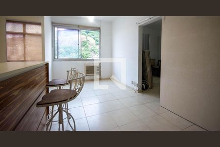 Sala de apartamento para alugar com 2 quartos, 49m² em Tijuca, Rio de Janeiro