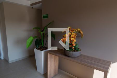 Apartamento para alugar com 45m², 2 quartos e sem vagaÁrea comum - Salão de festas