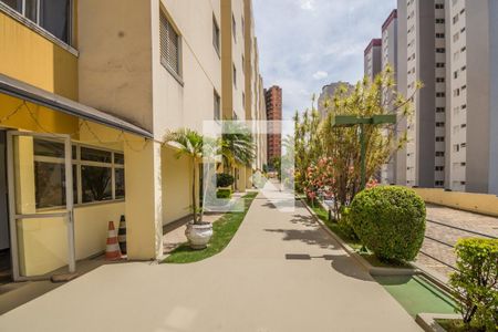 Apartamento para alugar com 70m², 2 quartos e 1 vagaÁrea comum