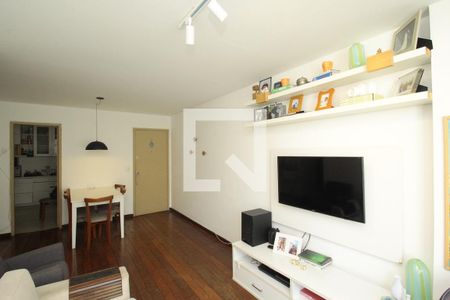 Sala de apartamento para alugar com 2 quartos, 86m² em Laranjeiras, Rio de Janeiro
