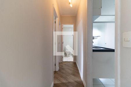Corredor de apartamento para alugar com 2 quartos, 48m² em Vila Liviero, São Paulo