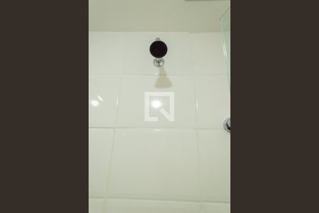 Apartamento para alugar com 60m², 2 quartos e 1 vagaBanheiro Social detalhe