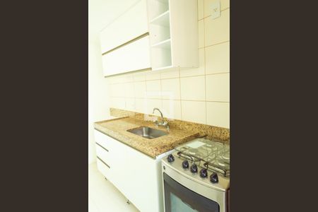 Apartamento para alugar com 60m², 2 quartos e 1 vagaCozinha - Armários