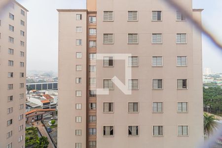 Vista do Quarto 1 de apartamento para alugar com 3 quartos, 70m² em Parque Marajoara, Santo André