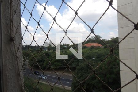 Vista de apartamento à venda com 3 quartos, 76m² em Vila Industrial, Campinas