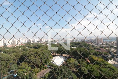 Vista da Varanda da Sala de apartamento para alugar com 3 quartos, 69m² em Mooca, São Paulo