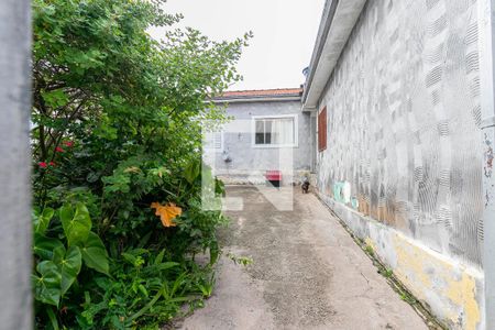 Quintal de casa à venda com 3 quartos, 150m² em Vila Carrao, São Paulo