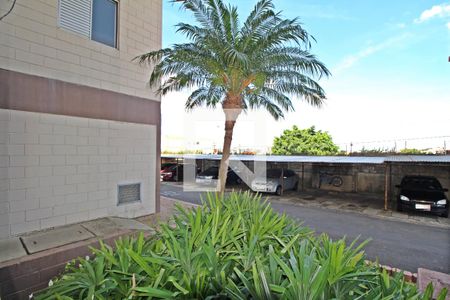 Vista da Sala de apartamento à venda com 2 quartos, 53m² em Jardim Paulicéia, Campinas