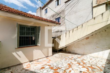Casa para alugar com 46m², 1 quarto e sem vagaQuintal