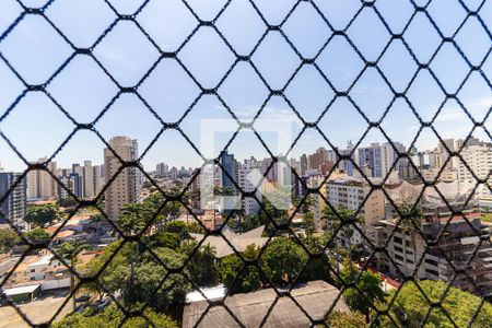 Apartamento à venda com 220m², 3 quartos e 4 vagasVista do quarto 3