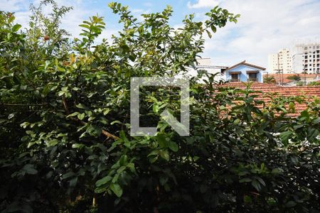 Casa à venda com 175m², 3 quartos e 2 vagasVista da suíte 1