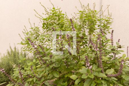 Apartamento para alugar com 58m², 2 quartos e 1 vagaHorta