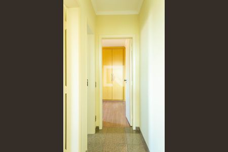 Corredor de apartamento para alugar com 2 quartos, 82m² em Vila Marari, São Paulo