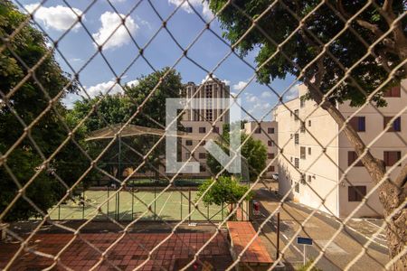Vista do Quarto 1 de apartamento à venda com 2 quartos, 55m² em Jardim Novo Campos Eliseos, Campinas