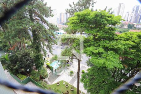 Apartamento à venda com 120m², 3 quartos e 1 vagaSuíte Vista