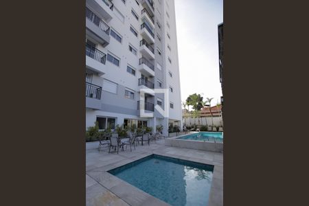 Área comum - Piscina de apartamento à venda com 2 quartos, 38m² em Vila Invernada, São Paulo
