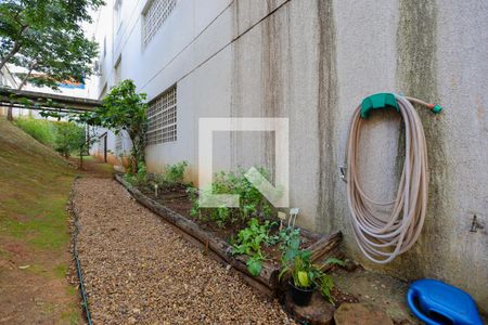 Apartamento à venda com 67m², 2 quartos e 1 vagaÁrea comum - Horta comunitária