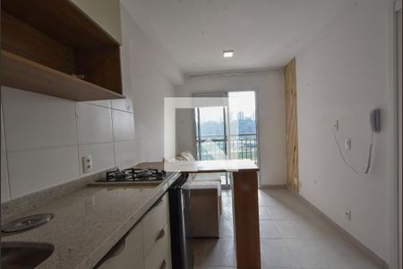 Cozinha de apartamento para alugar com 1 quarto, 28m² em Jardim Caravelas, São Paulo