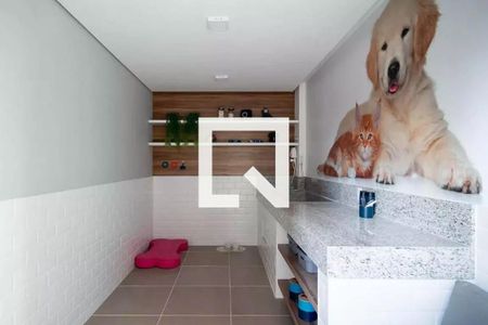 Espaço Pet  de apartamento para alugar com 1 quarto, 28m² em Jardim Caravelas, São Paulo
