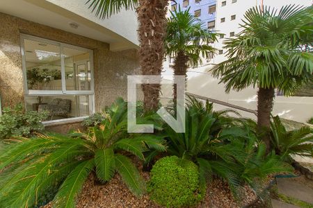 Apartamento à venda com 55m², 2 quartos e 2 vagas Apartamento à venda com 55m², 2 quartos e 2 vagasÁrea comum - jardim