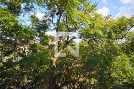 Apartamento à venda com 59m², 2 quartos e 1 vagaVista do Quarto 2