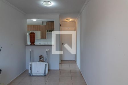 Sala de apartamento para alugar com 2 quartos, 50m² em Jardim Nova Europa, Campinas