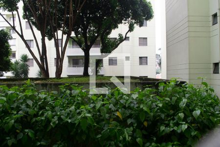 Apartamento para alugar com 54m², 2 quartos e 1 vaga Apartamento para alugar com 54m², 2 quartos e 1 vagaVista