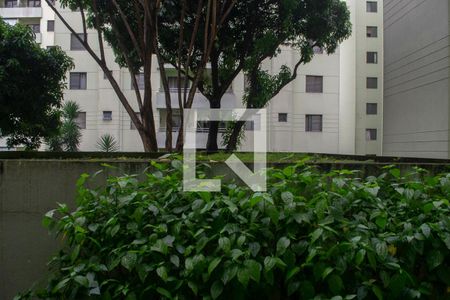 Vista de apartamento para alugar com 2 quartos, 54m² em Vila Palmeiras, São Paulo