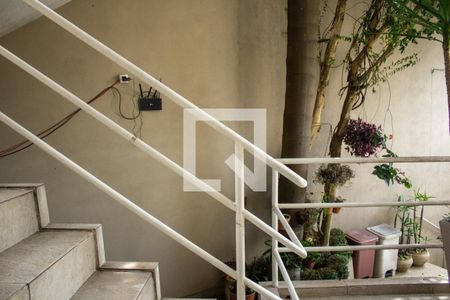 Casa para alugar com 26m², 1 quarto e sem vaga Casa para alugar com 26m², 1 quarto e sem vagaÁrea Externa