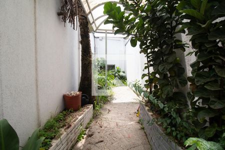 Casa para alugar com 200m², 3 quartos e 8 vagasQuintal