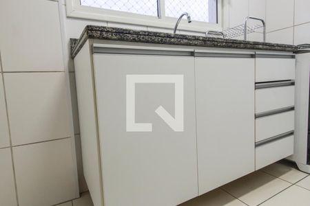 Apartamento para alugar com 66m², 2 quartos e 1 vagaDetalhe cozinha