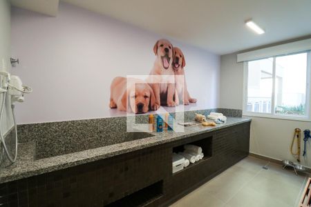 Apartamento à venda com 33m², 1 quarto e sem vaga Apartamento à venda com 33m², 1 quarto e sem vagaEspaço Pet