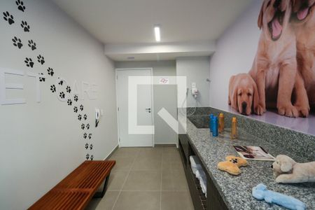 Apartamento à venda com 33m², 1 quarto e sem vaga Apartamento à venda com 33m², 1 quarto e sem vagaEspaço Pet