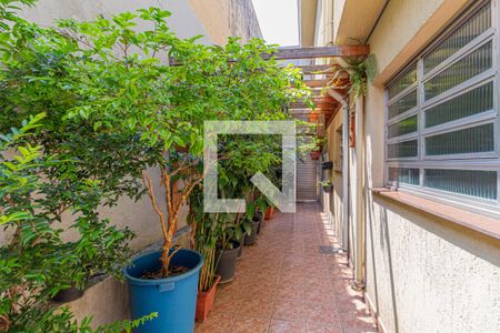 Casa à venda com 267m², 6 quartos e 2 vagas Casa à venda com 267m², 6 quartos e 2 vagasQuintal