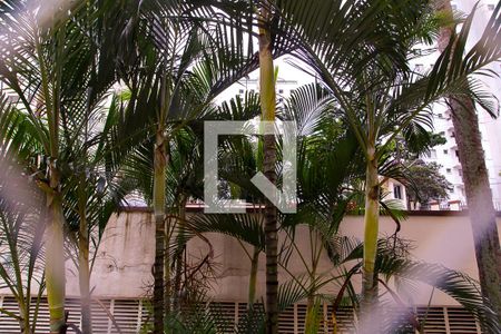 Apartamento para alugar com 58m², 2 quartos e 1 vaga Apartamento para alugar com 58m², 2 quartos e 1 vagaVista do Quarto 2