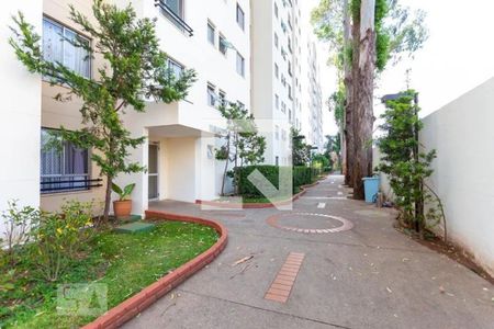 Apartamento para alugar com 50m², 2 quartos e 1 vaga Apartamento para alugar com 50m², 2 quartos e 1 vagaÁrea comum - Churrasqueira
