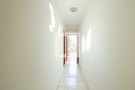 Corredor de casa para alugar com 6 quartos, 200m² em Jardim Alto Rio Preto, São José do Rio Preto 