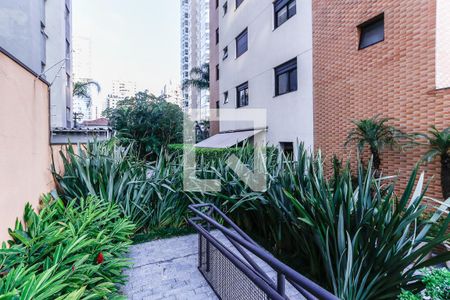Apartamento para alugar com 178m², 3 quartos e 3 vagasÁrea Verde