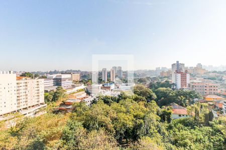 Vista Varanda de apartamento para alugar com 2 quartos, 54m² em Vila das Belezas, São Paulo
