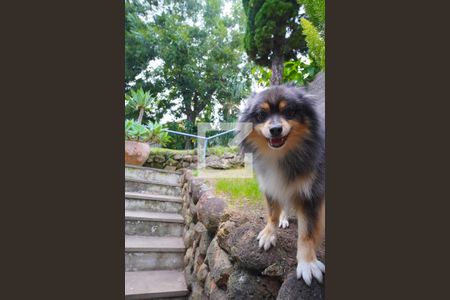 Casa à venda com 352m², 3 quartos e 4 vagasQuintal - Irmão do Dono